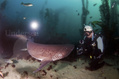 scuba diving photo