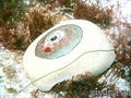 scuba diving photo