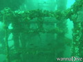scuba diving photo