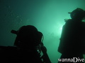 scuba diving photo
