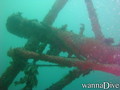 scuba diving photo