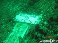 scuba diving photo
