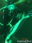scuba diving photo