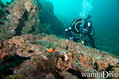 scuba diving photo