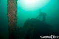 scuba diving photo