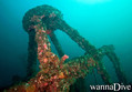 scuba diving photo