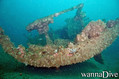 scuba diving photo