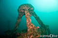 scuba diving photo