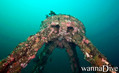 scuba diving photo