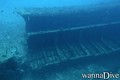 scuba diving photo