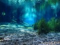 scuba diving photo