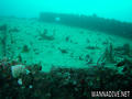 scuba diving photo