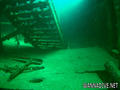scuba diving photo