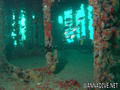 scuba diving photo
