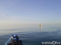 scuba diving photo