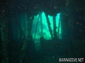 scuba diving photo