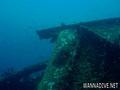 scuba diving photo