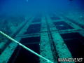 scuba diving photo