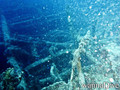 scuba diving photo
