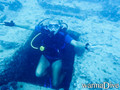 scuba diving photo