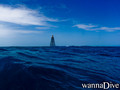 scuba diving photo