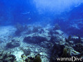 scuba diving photo