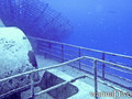scuba diving photo