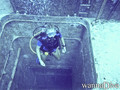 scuba diving photo