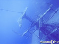 scuba diving photo
