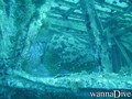 scuba diving photo