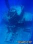 scuba diving photo
