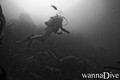 scuba diving photo
