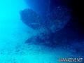 scuba diving photo
