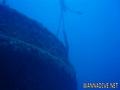 scuba diving photo
