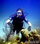 scuba diving photo