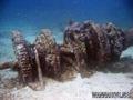 scuba diving photo