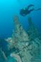 scuba diving photo