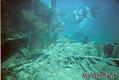 scuba diving photo