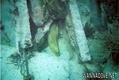 scuba diving photo