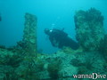 scuba diving photo