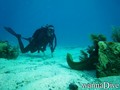 scuba diving photo
