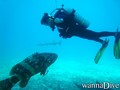 scuba diving photo