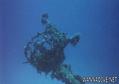 scuba diving photo