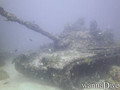 scuba diving photo