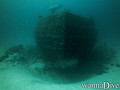 scuba diving photo
