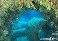 scuba diving photo