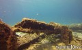 scuba diving photo
