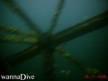 scuba diving photo