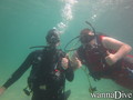 scuba diving photo