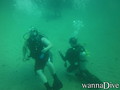 scuba diving photo
